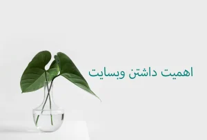 اهمیت داشتن وبسایت